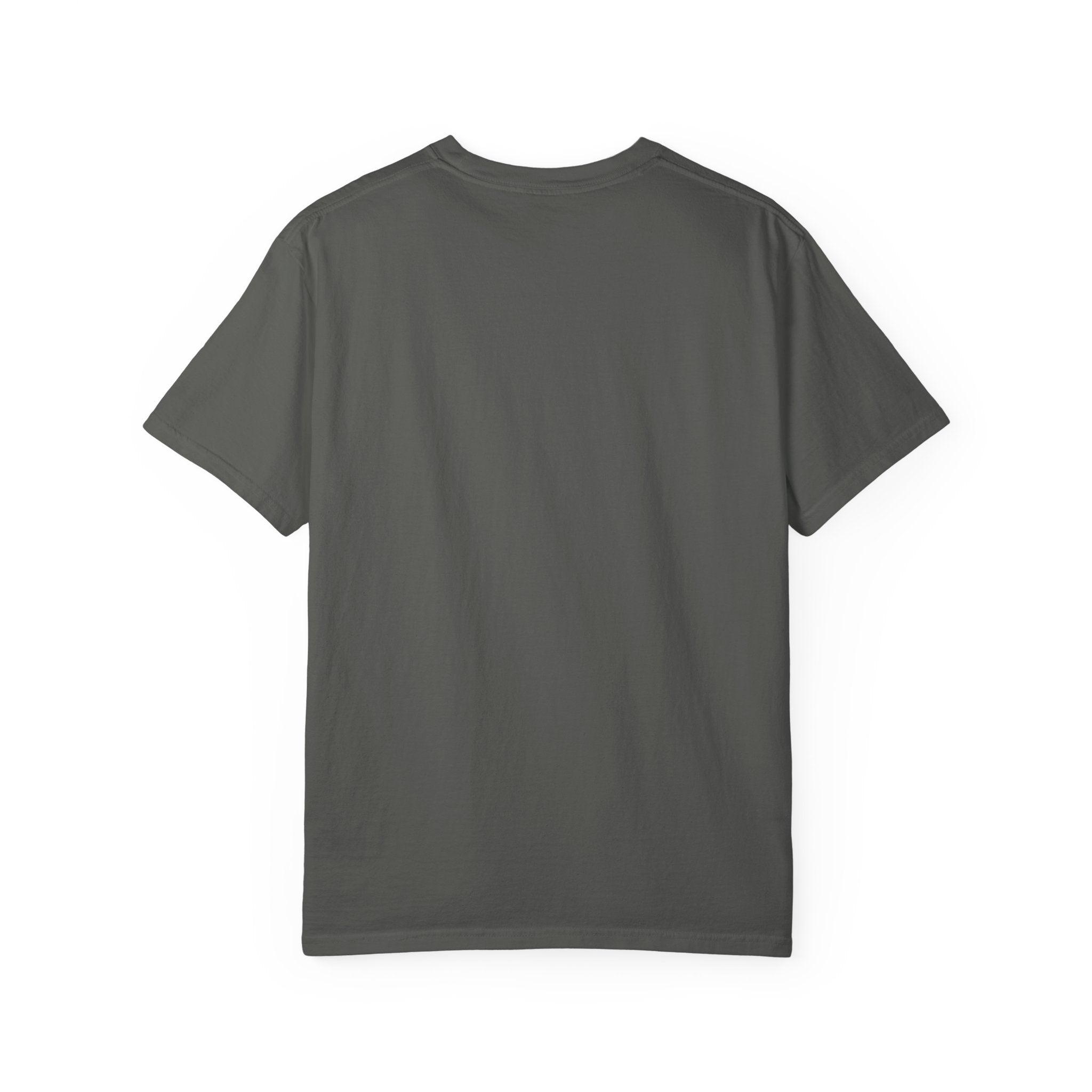 You've Got This Kid! Baseball Dad T-Shirt